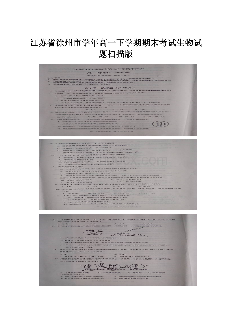 江苏省徐州市学年高一下学期期末考试生物试题扫描版.docx_第1页