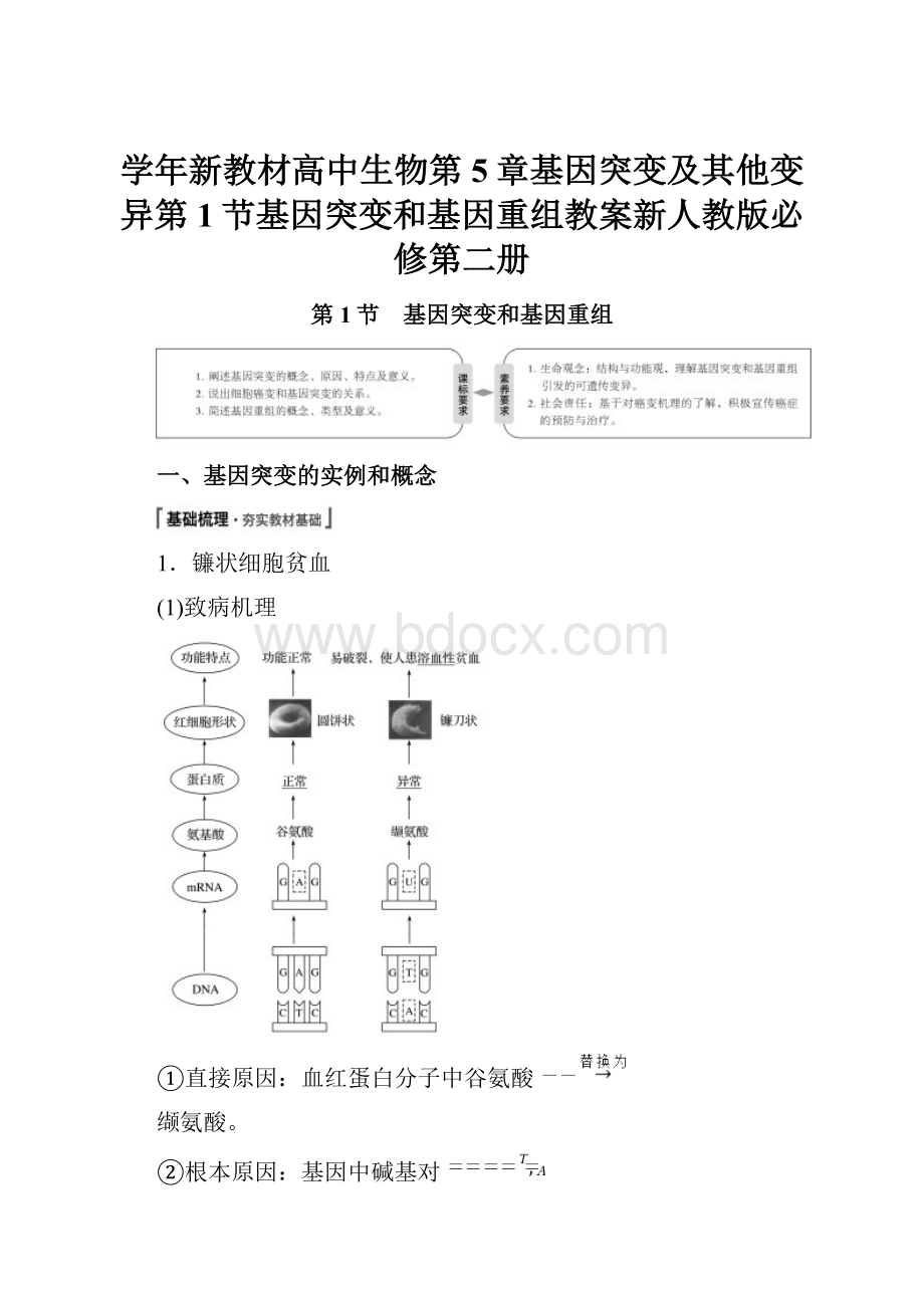 学年新教材高中生物第5章基因突变及其他变异第1节基因突变和基因重组教案新人教版必修第二册.docx_第1页