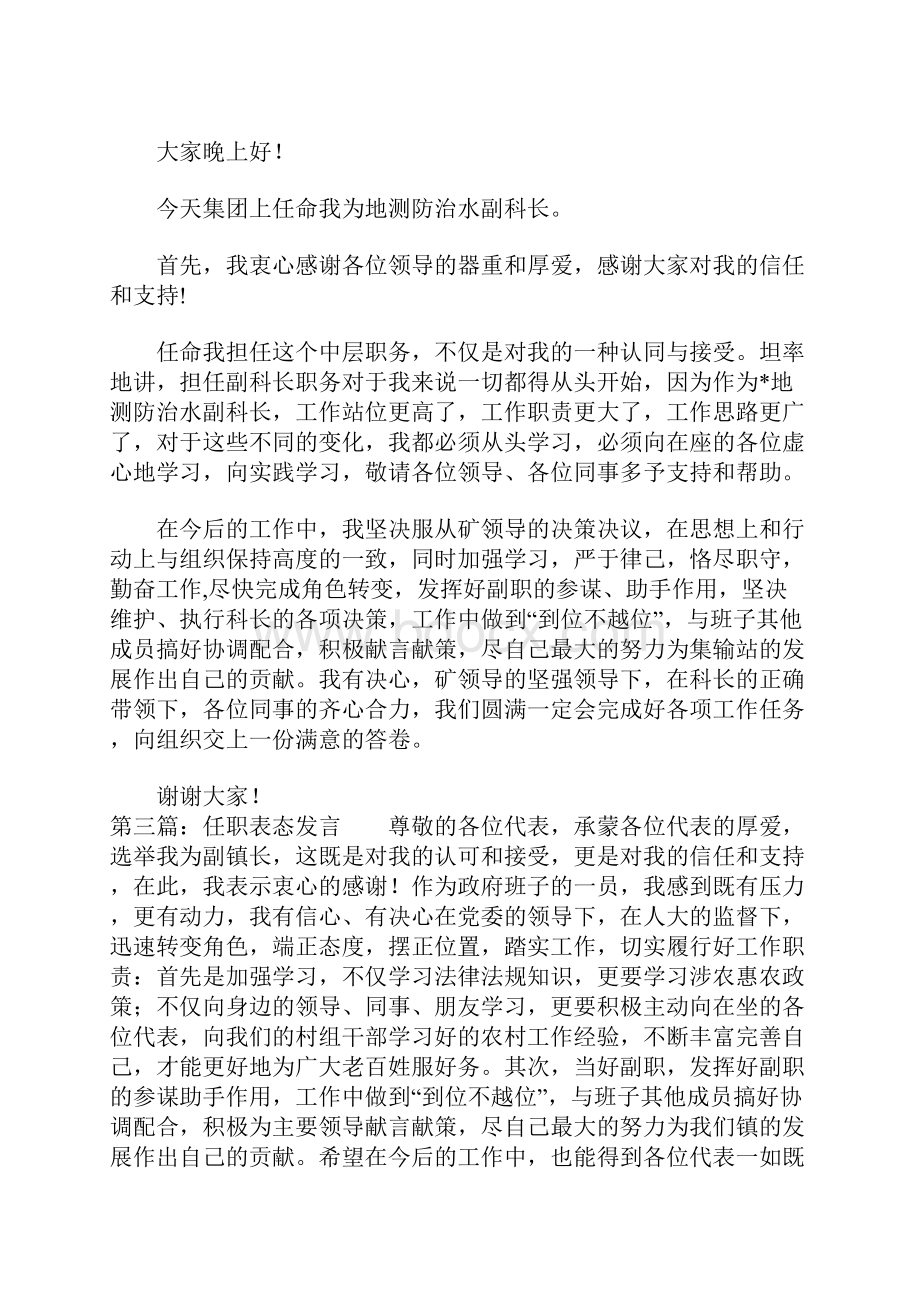 宣传部长任职表态发言.docx_第3页