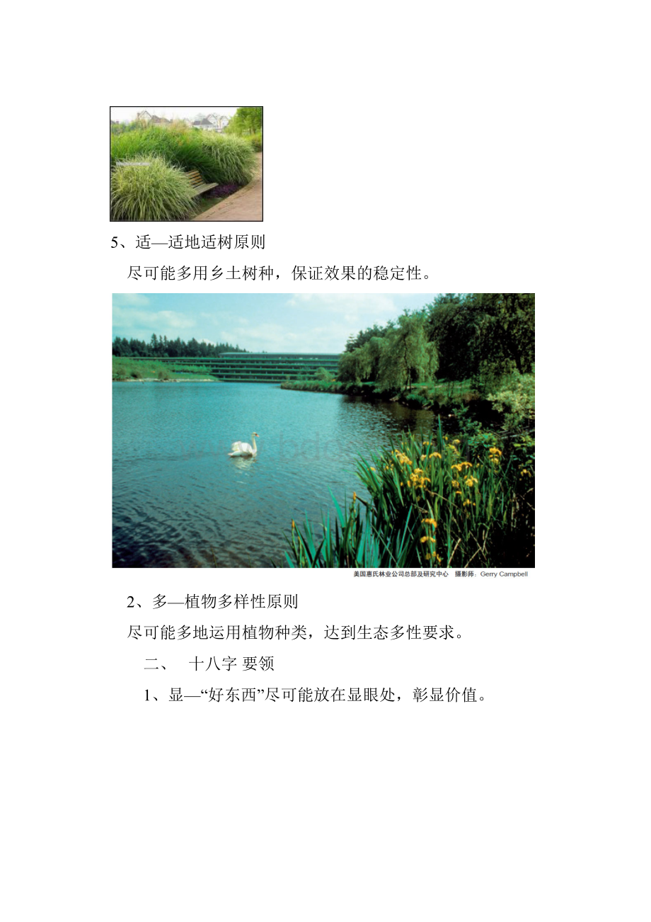 园林景观植物配置基础.docx_第3页