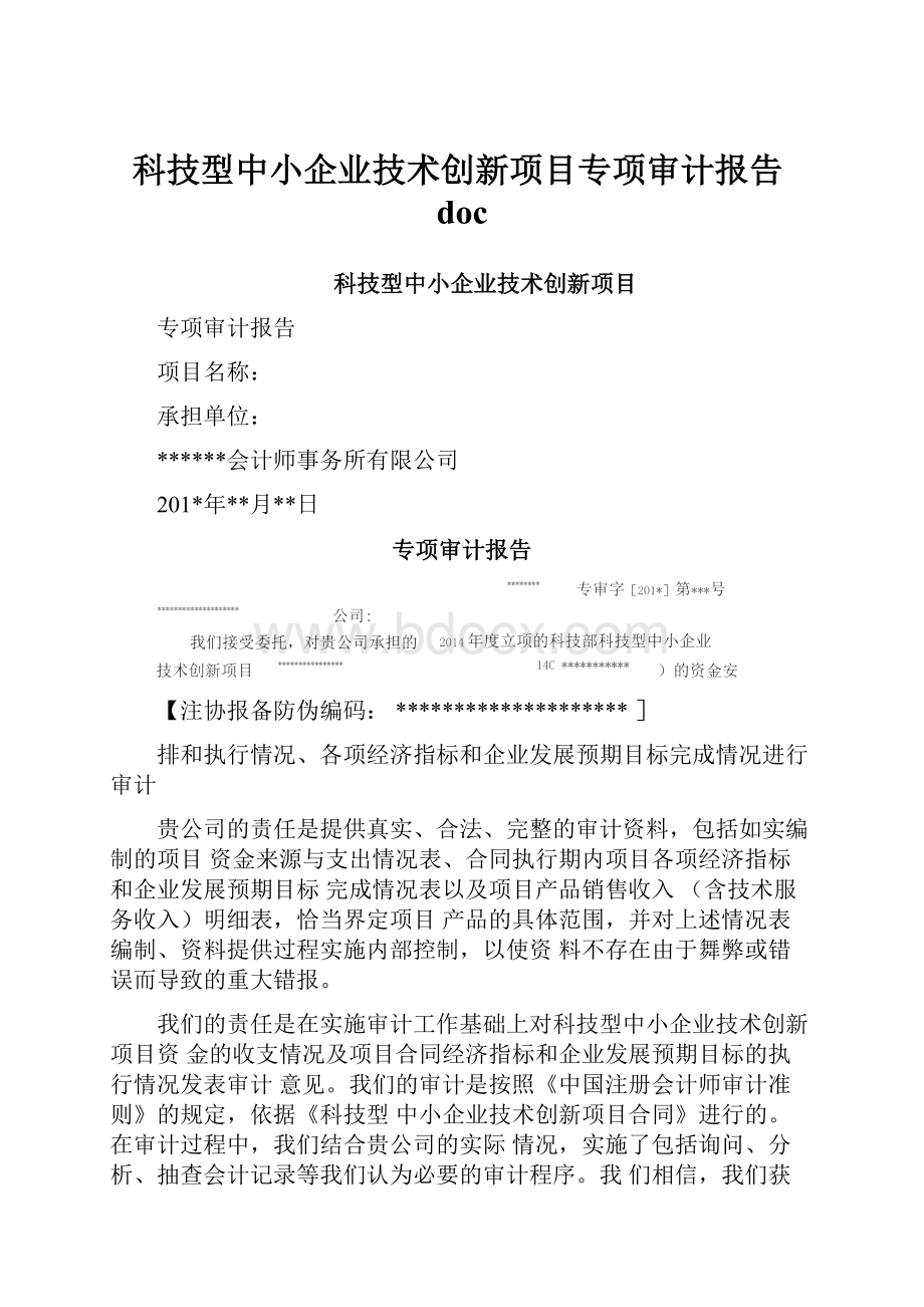 科技型中小企业技术创新项目专项审计报告doc.docx