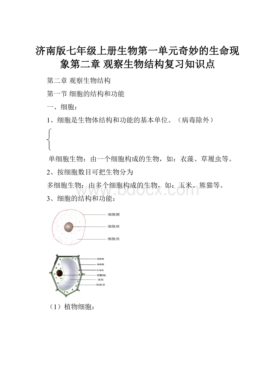 济南版七年级上册生物第一单元奇妙的生命现象第二章 观察生物结构复习知识点.docx