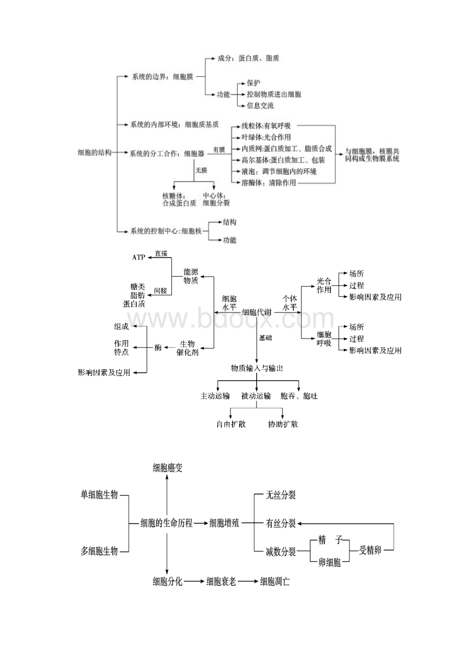 必修一二复习.docx_第2页