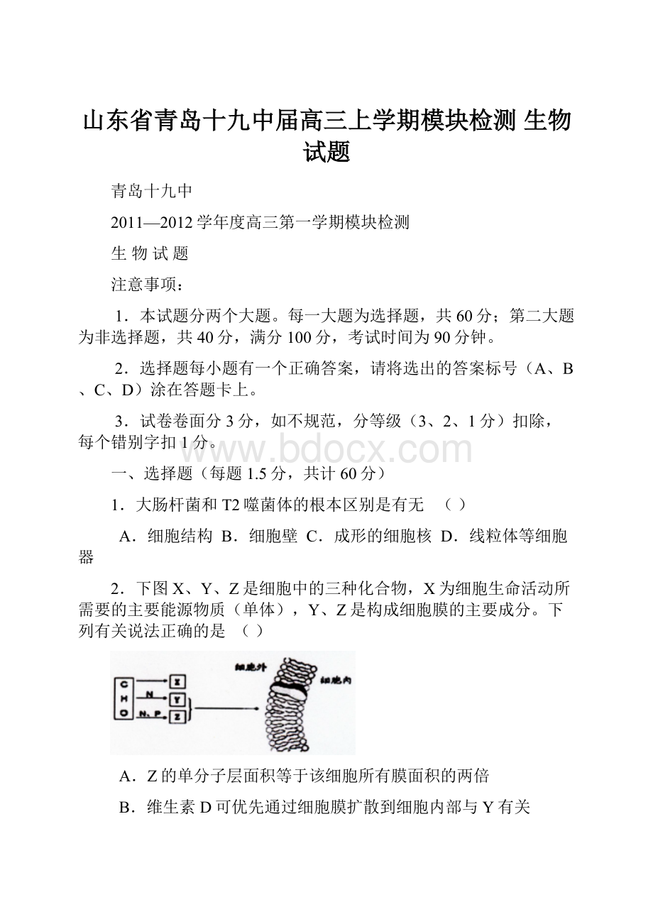 山东省青岛十九中届高三上学期模块检测 生物试题.docx_第1页