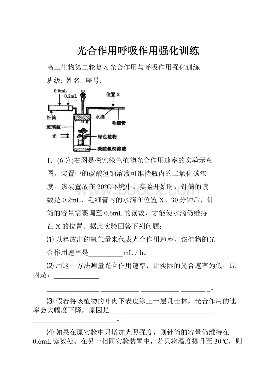 光合作用呼吸作用强化训练.docx