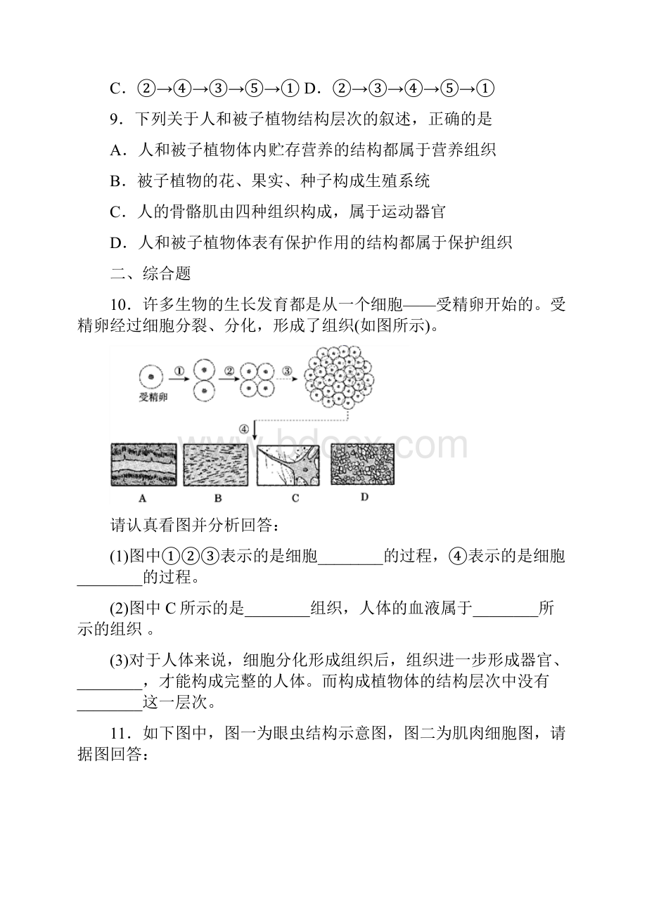 届九年级中考生物专项复习专项一生物与细胞.docx_第3页