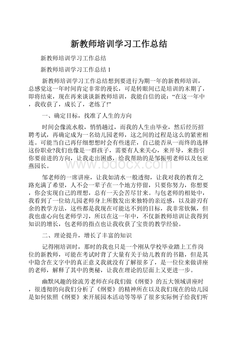 新教师培训学习工作总结.docx