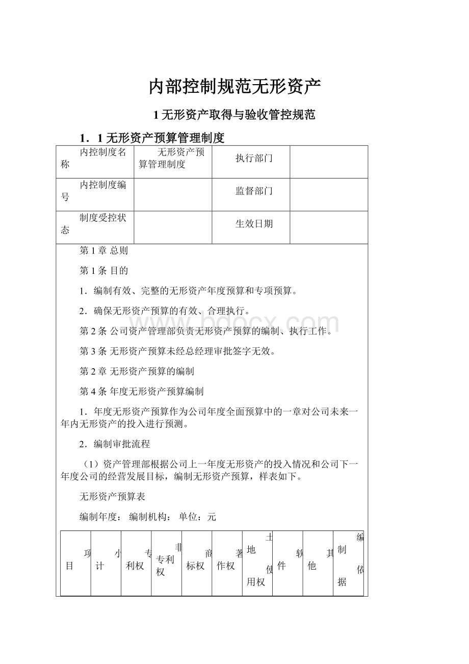 内部控制规范无形资产.docx