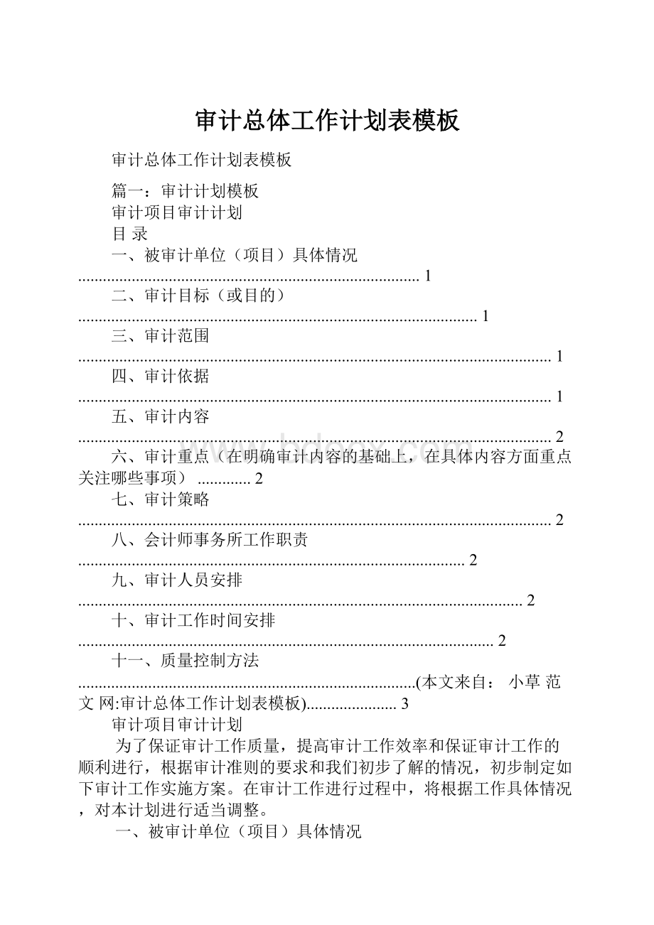 审计总体工作计划表模板.docx