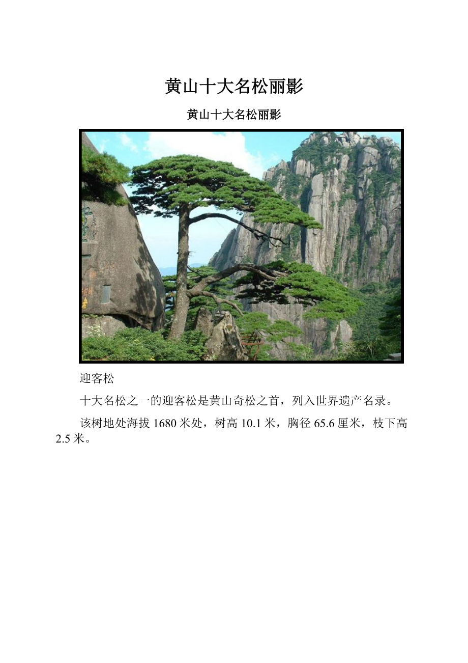 黄山十大名松丽影.docx_第1页