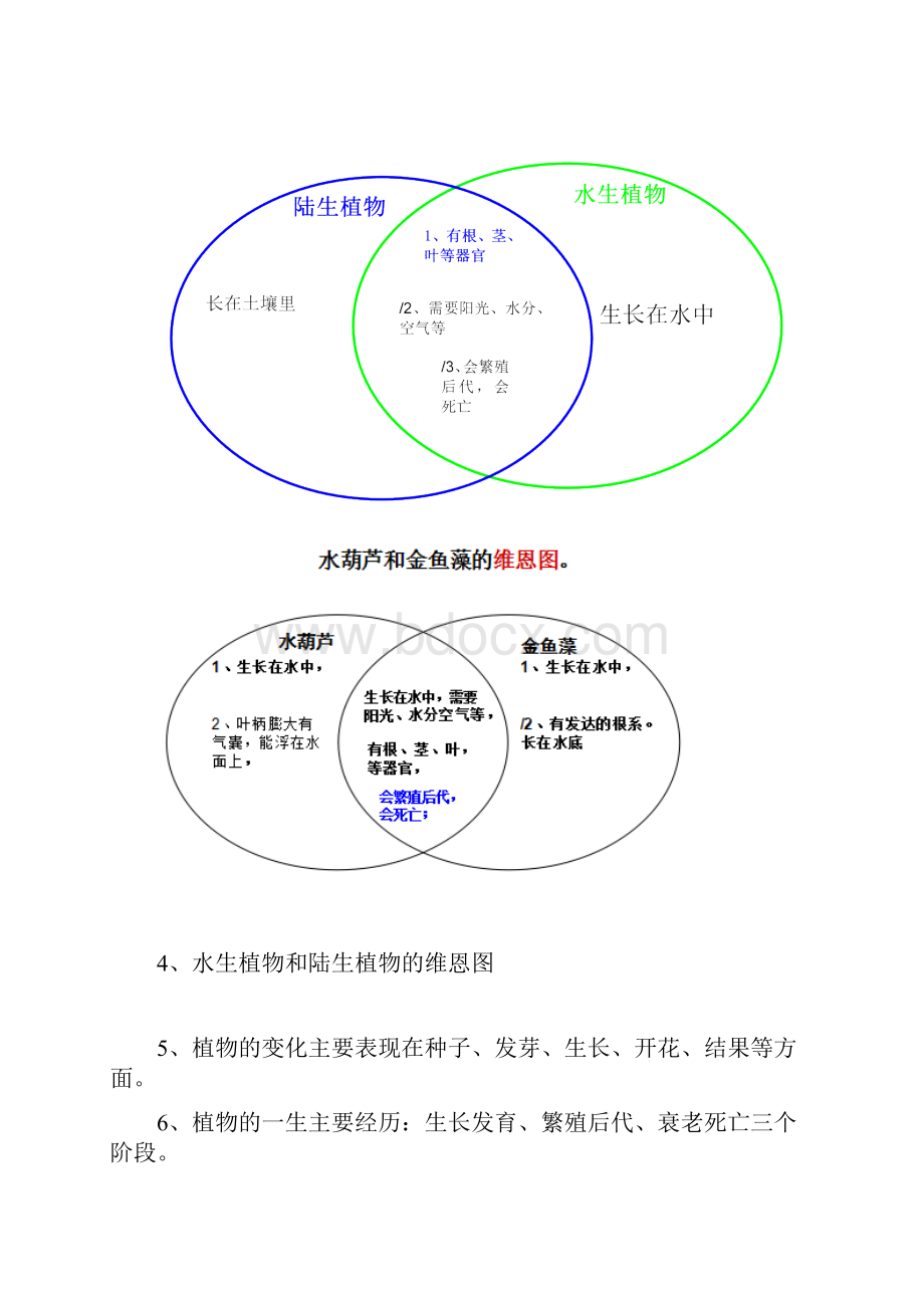 三年级上册科学期末复习资料.docx_第3页