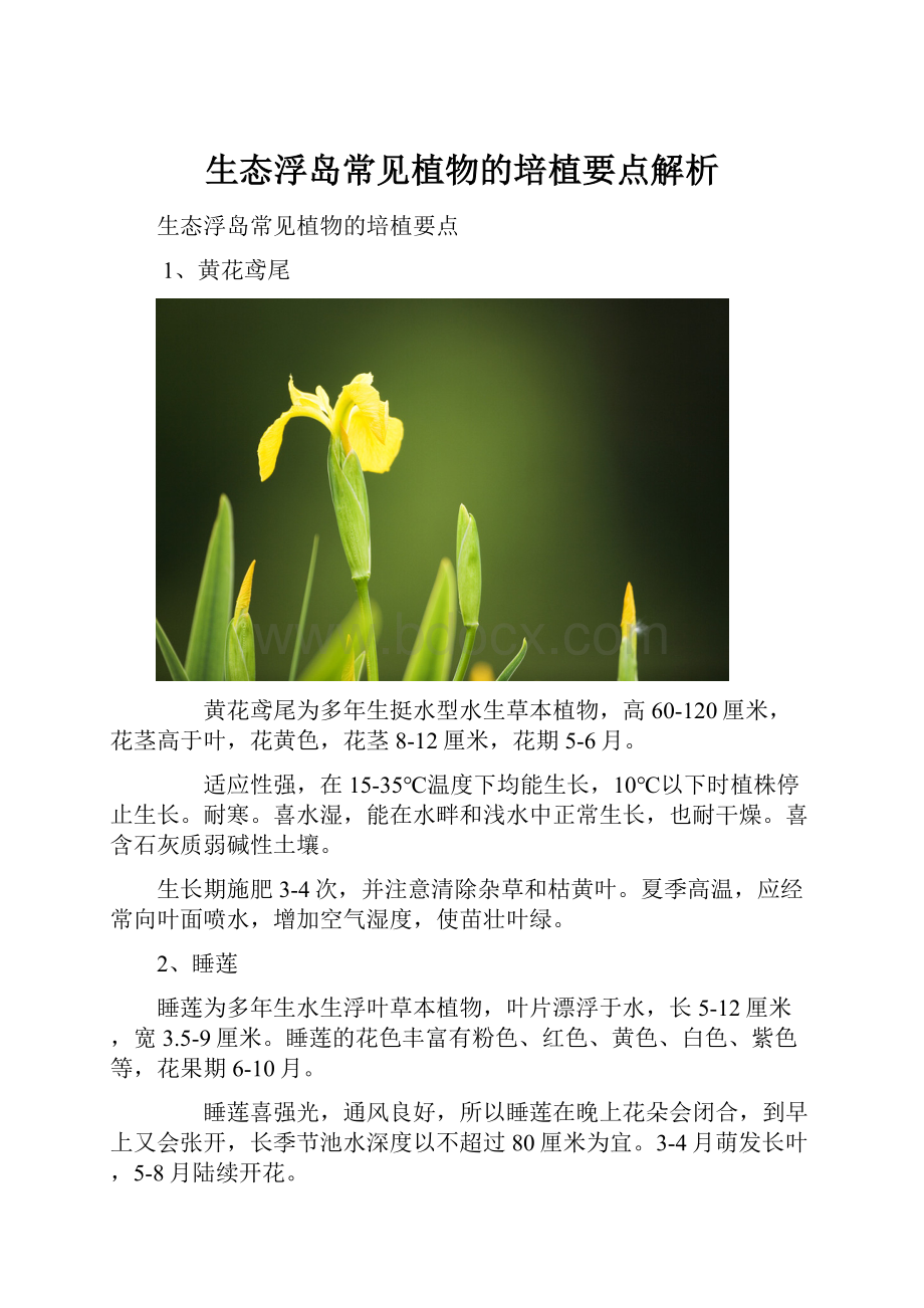 生态浮岛常见植物的培植要点解析.docx