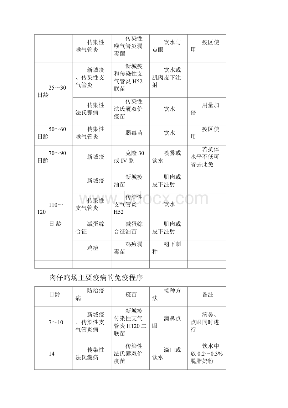 蛋鸡养殖技术.docx_第3页