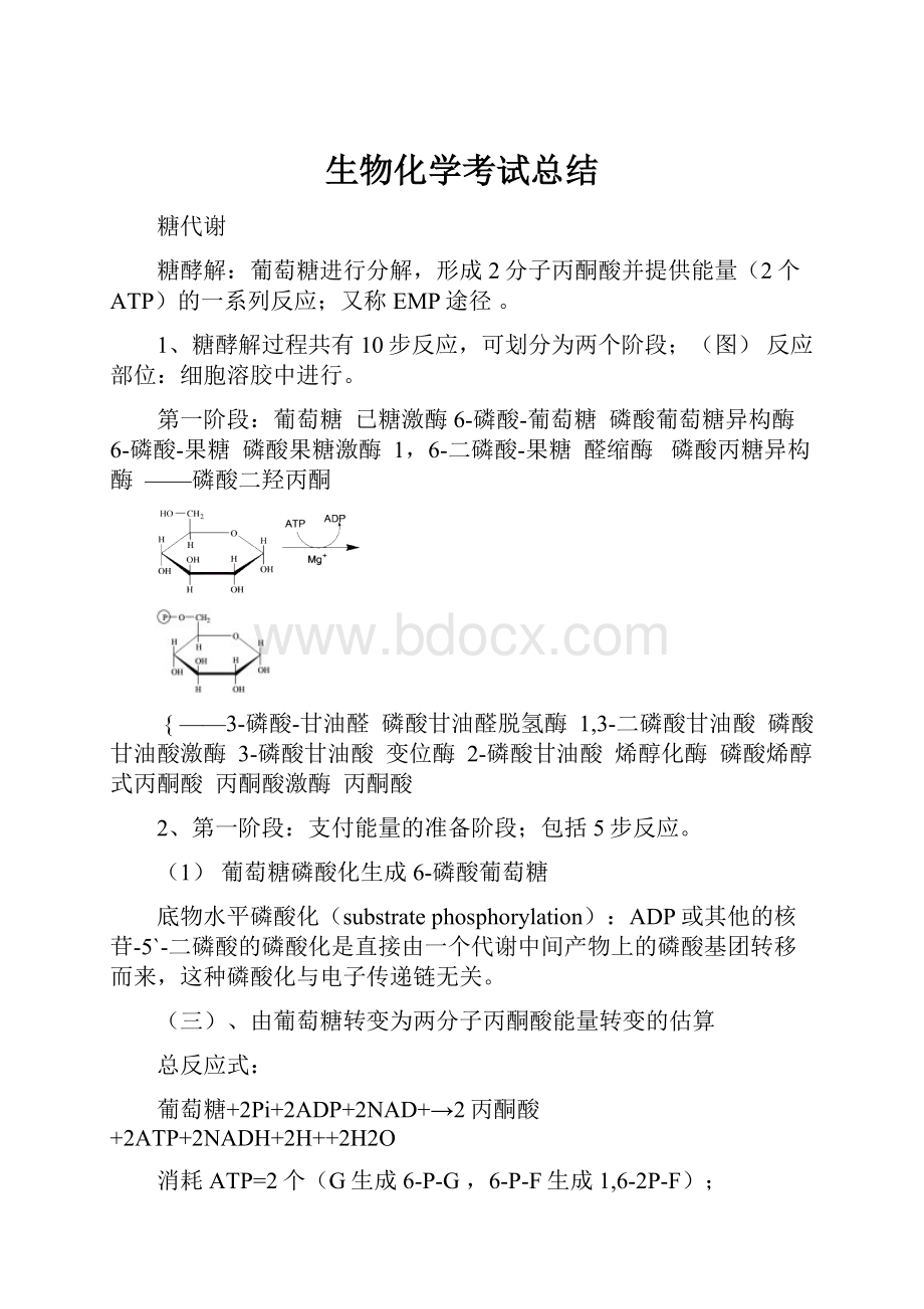 生物化学考试总结.docx