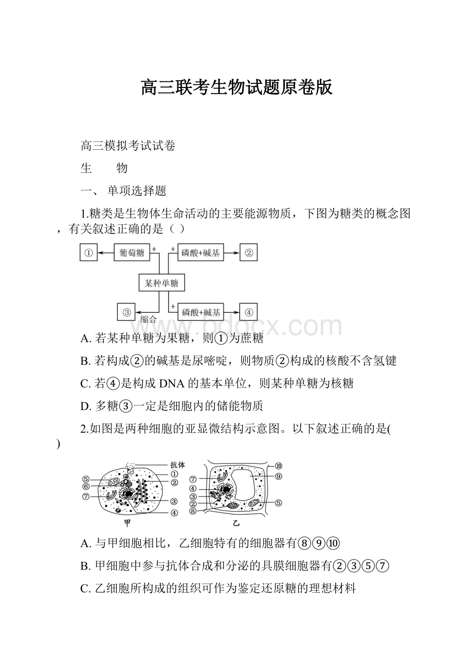 高三联考生物试题原卷版.docx