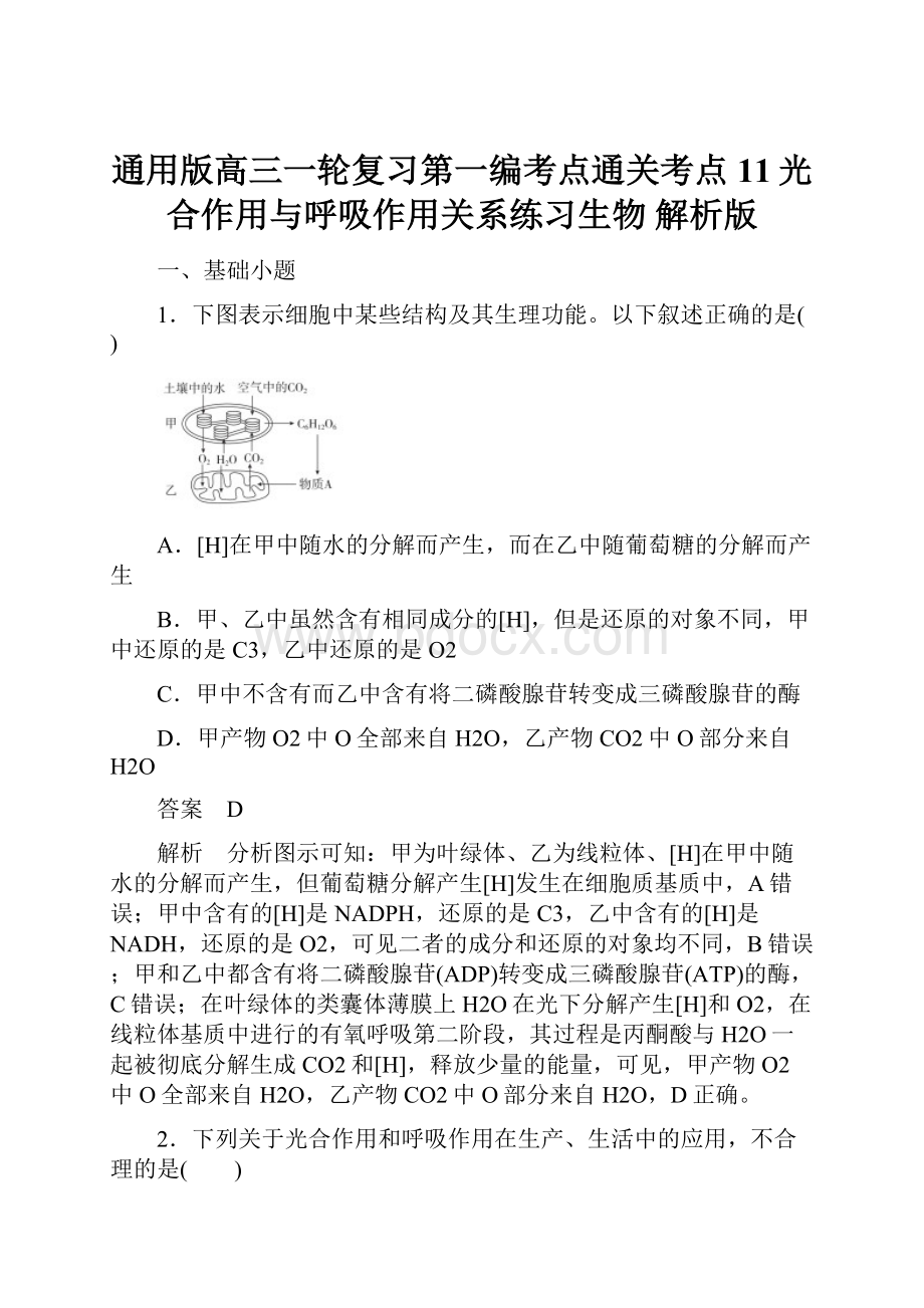 通用版高三一轮复习第一编考点通关考点11光合作用与呼吸作用关系练习生物 解析版.docx