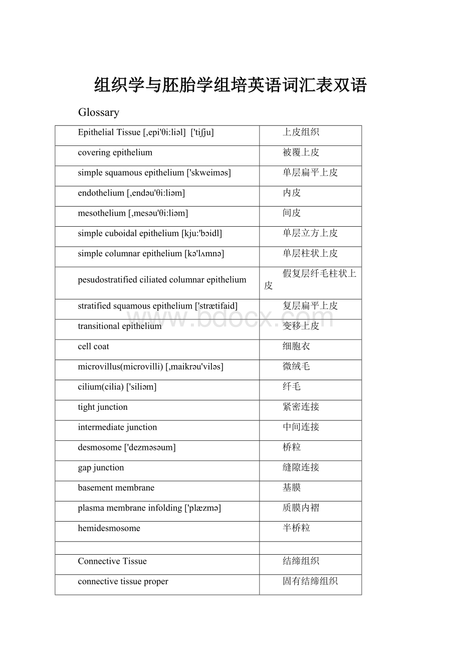 组织学与胚胎学组培英语词汇表双语.docx_第1页