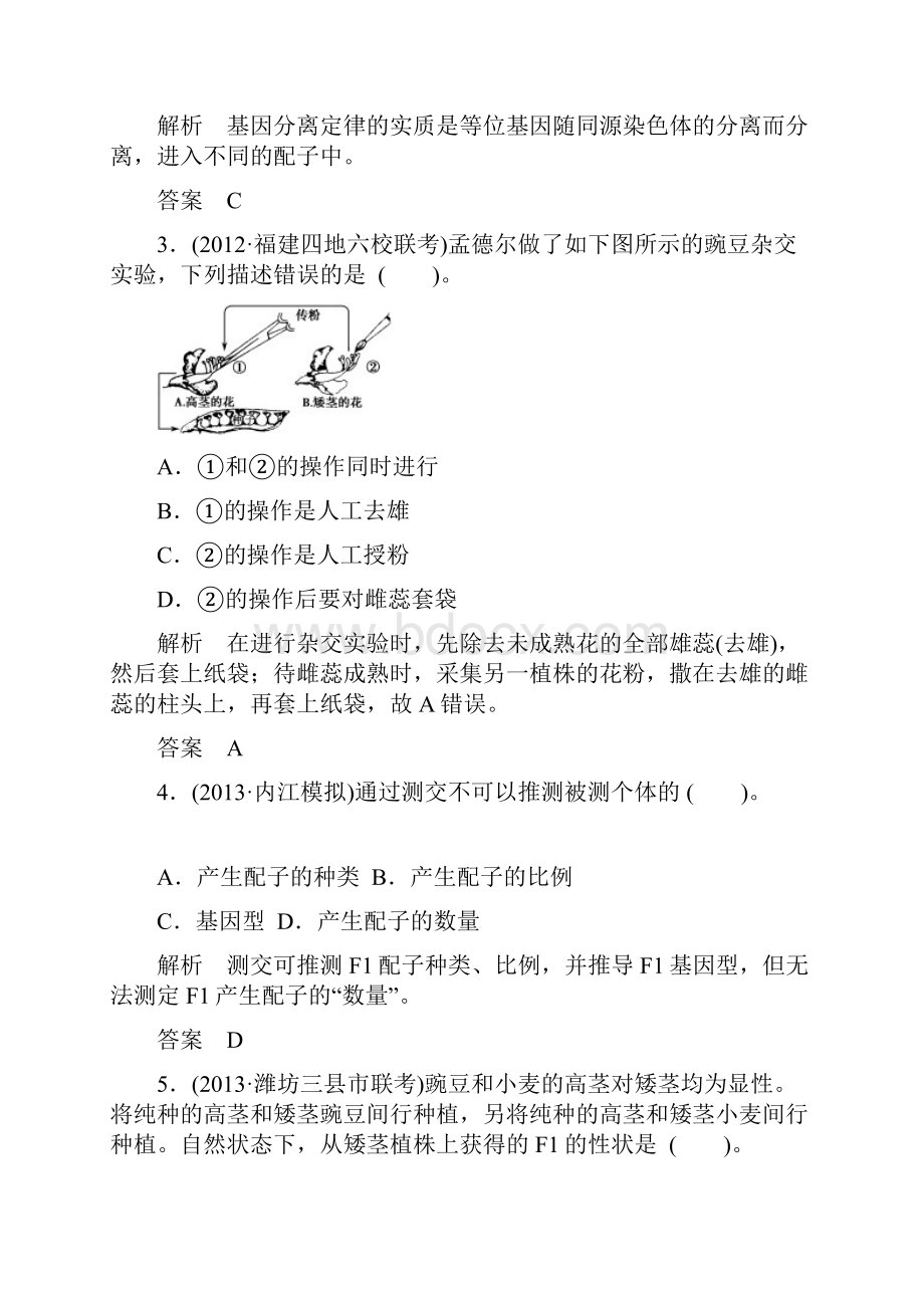 必修2 第1单元 第1讲孟德尔的豌豆杂交实验一.docx_第2页