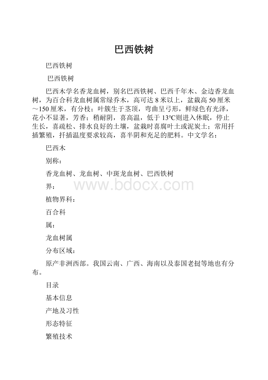 巴西铁树.docx