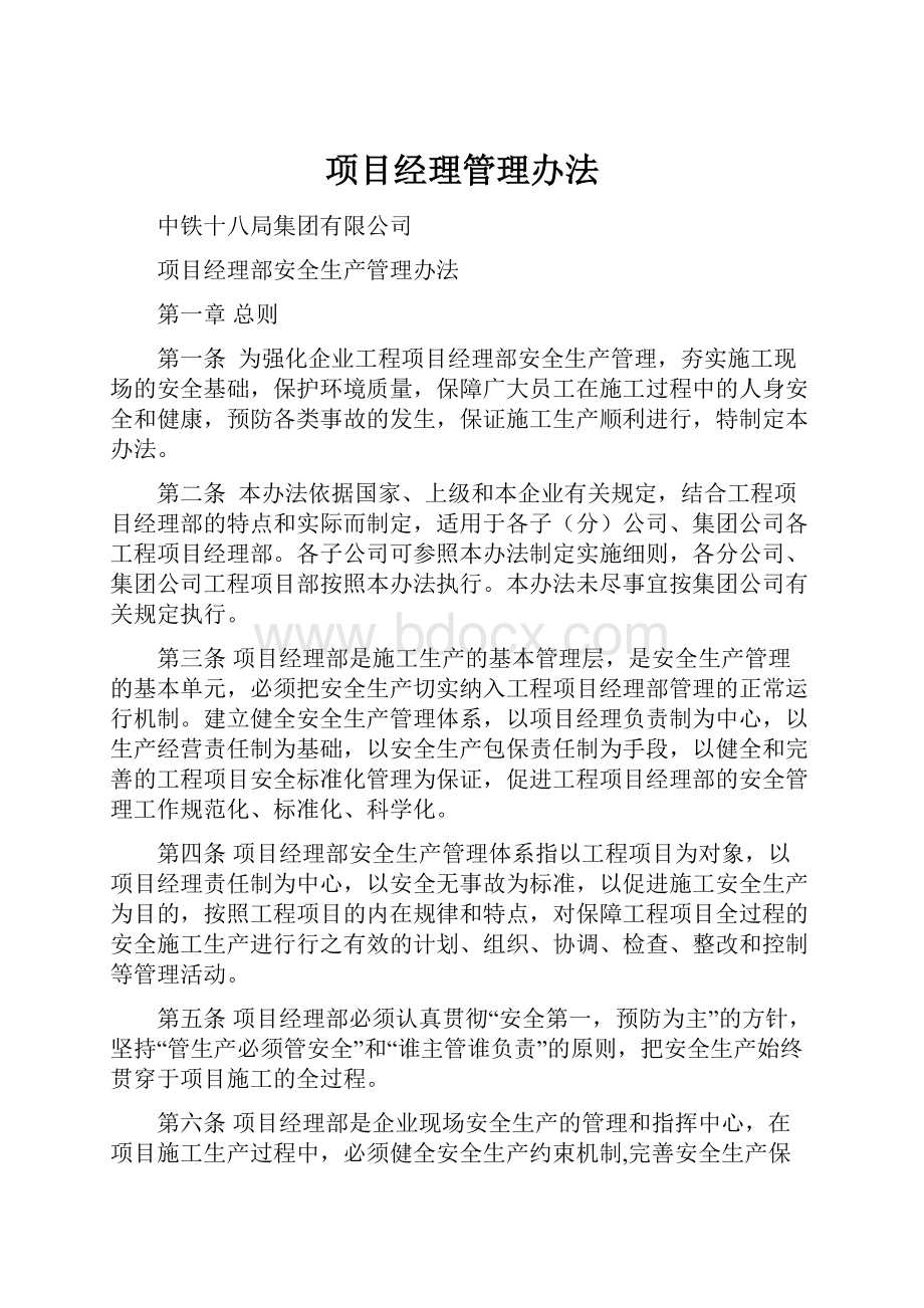 项目经理管理办法.docx_第1页