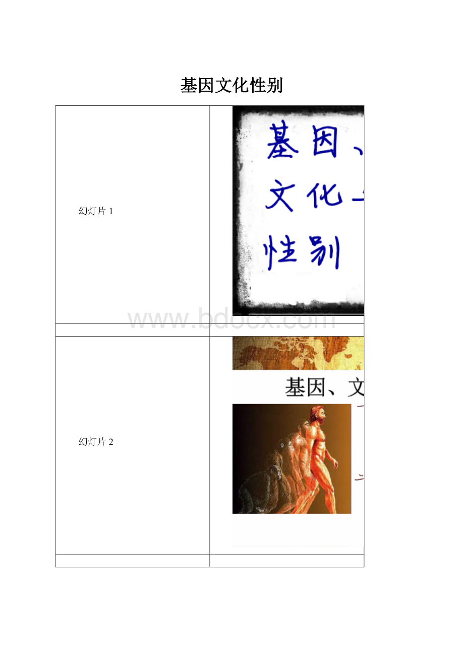 基因文化性别.docx_第1页