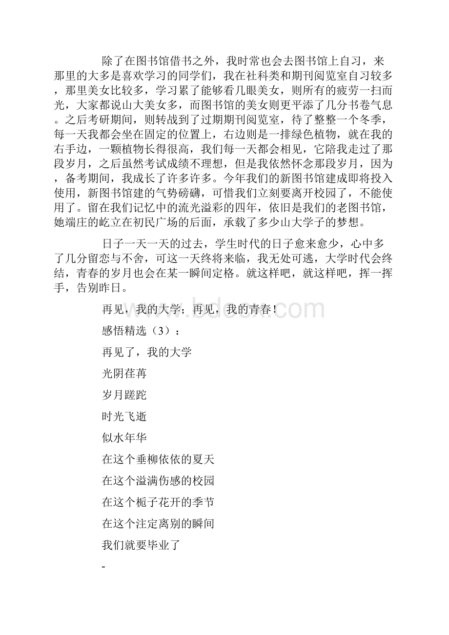 再见我的大学.docx_第3页