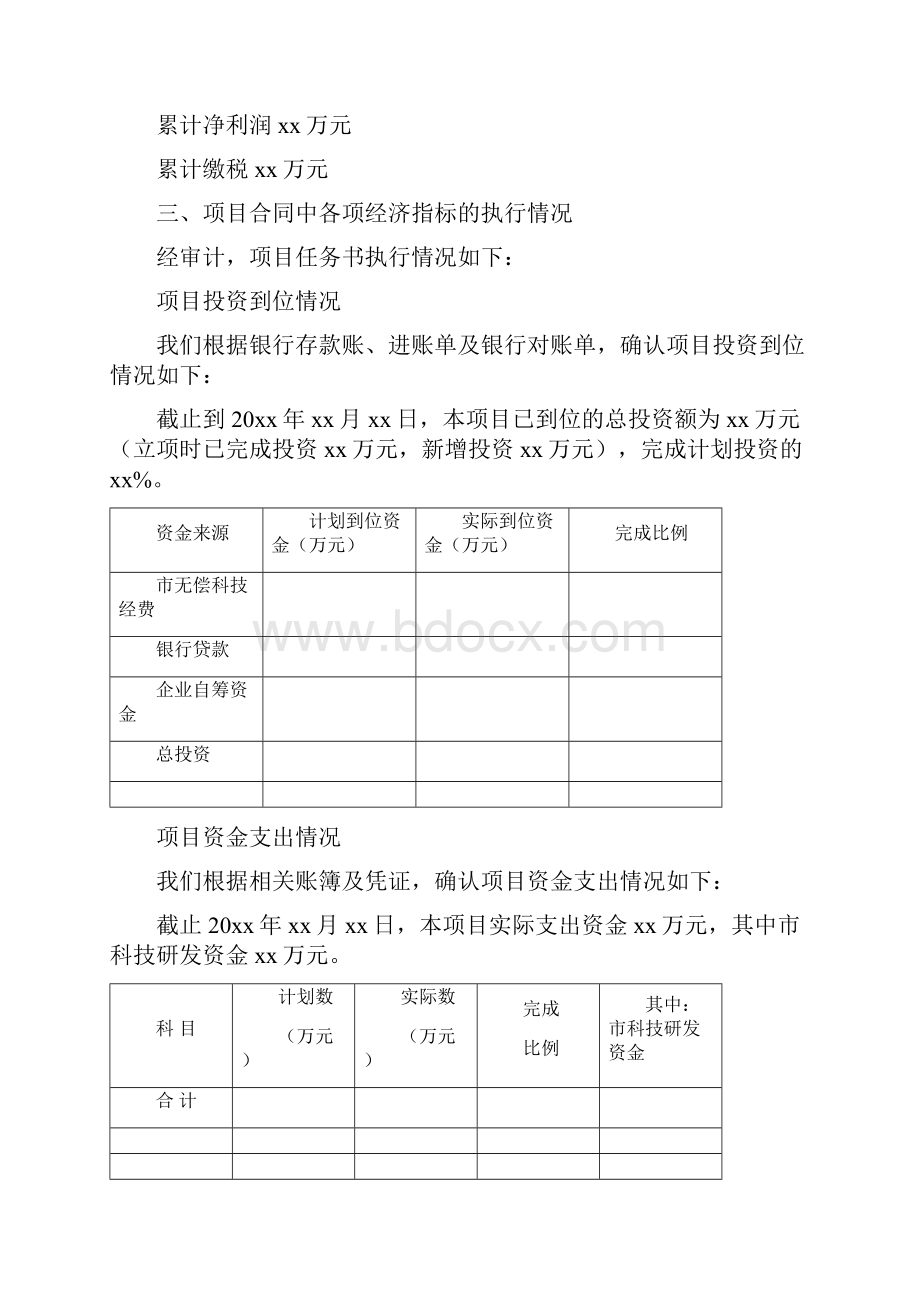 整理专项审计报告包括哪些内容.docx_第3页