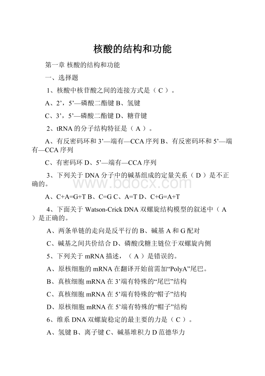 核酸的结构和功能.docx_第1页