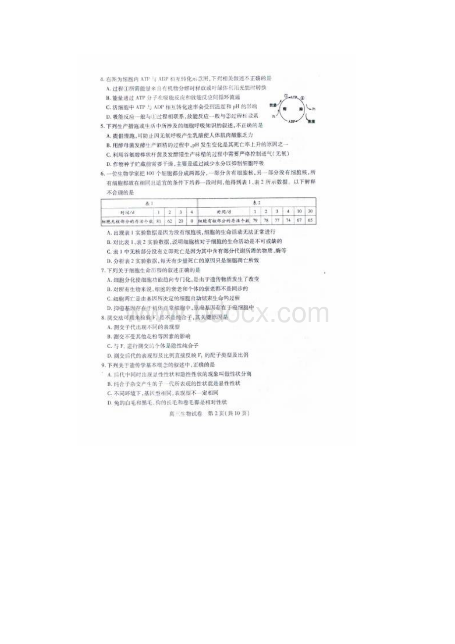 贵州省贵阳市普通高中高三上学期期末生物生物.docx_第2页