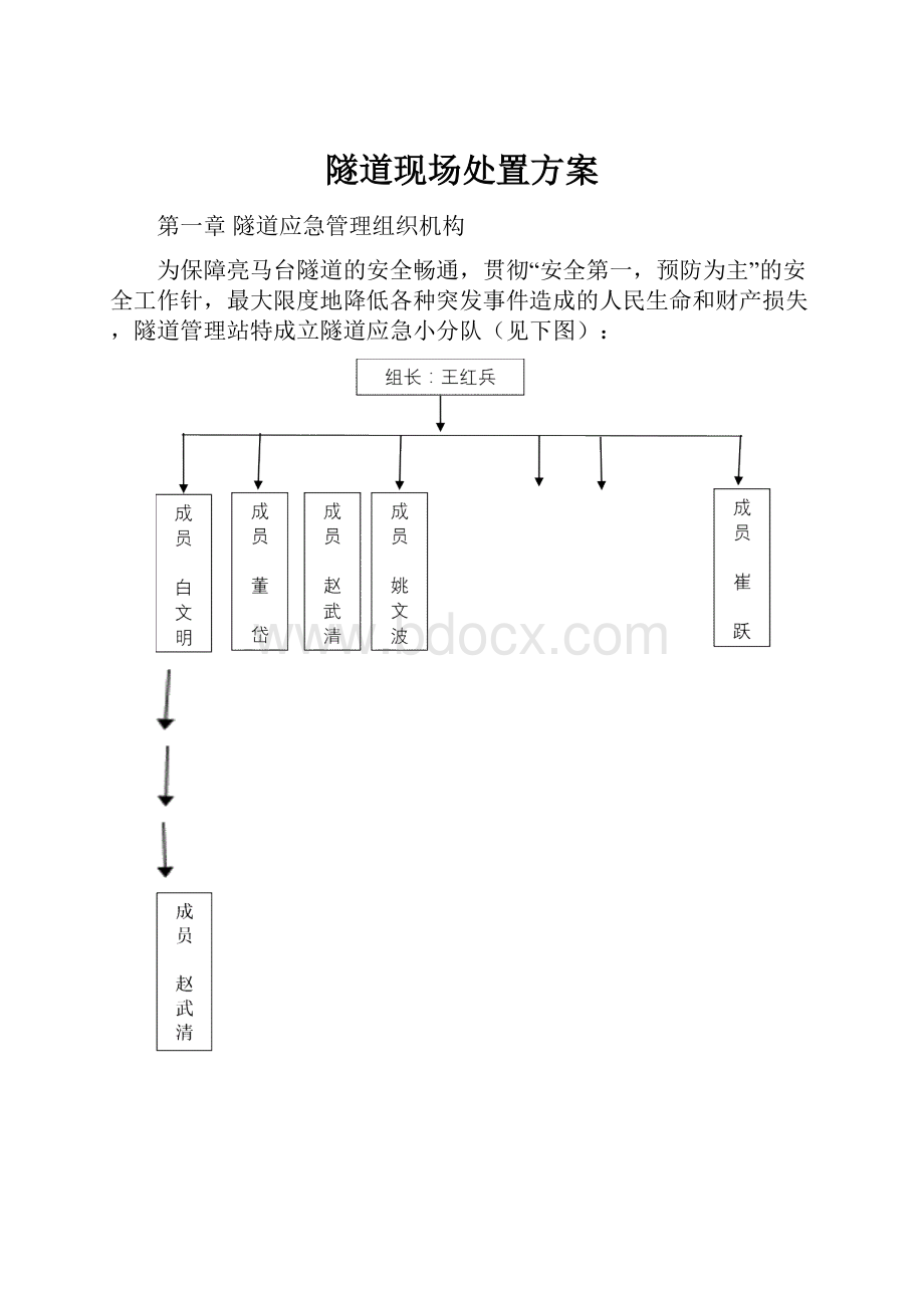 隧道现场处置方案.docx_第1页