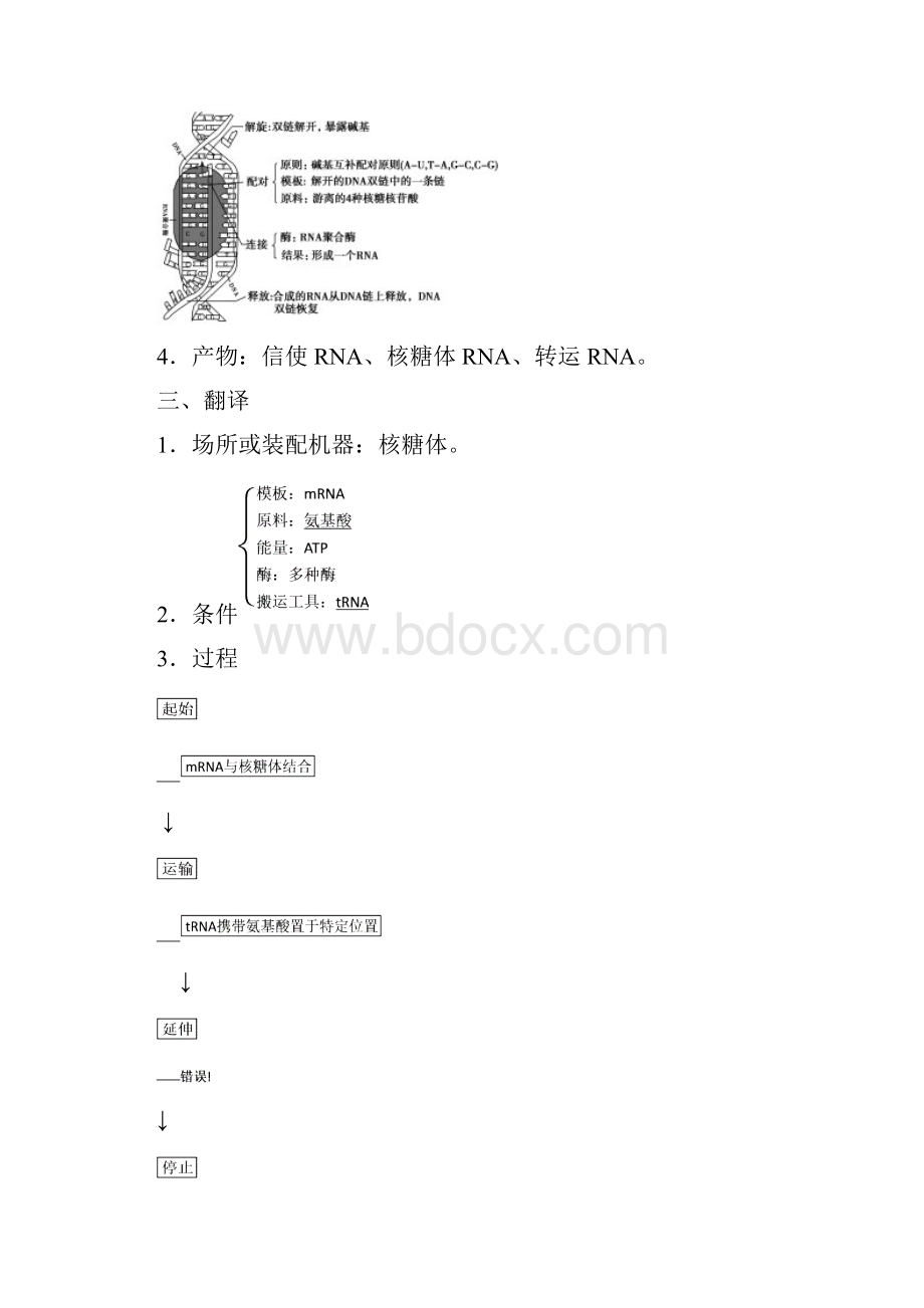 版高考生物一轮复习第六单元遗传的分子基础第三讲基因的表达学案新人教版.docx_第2页