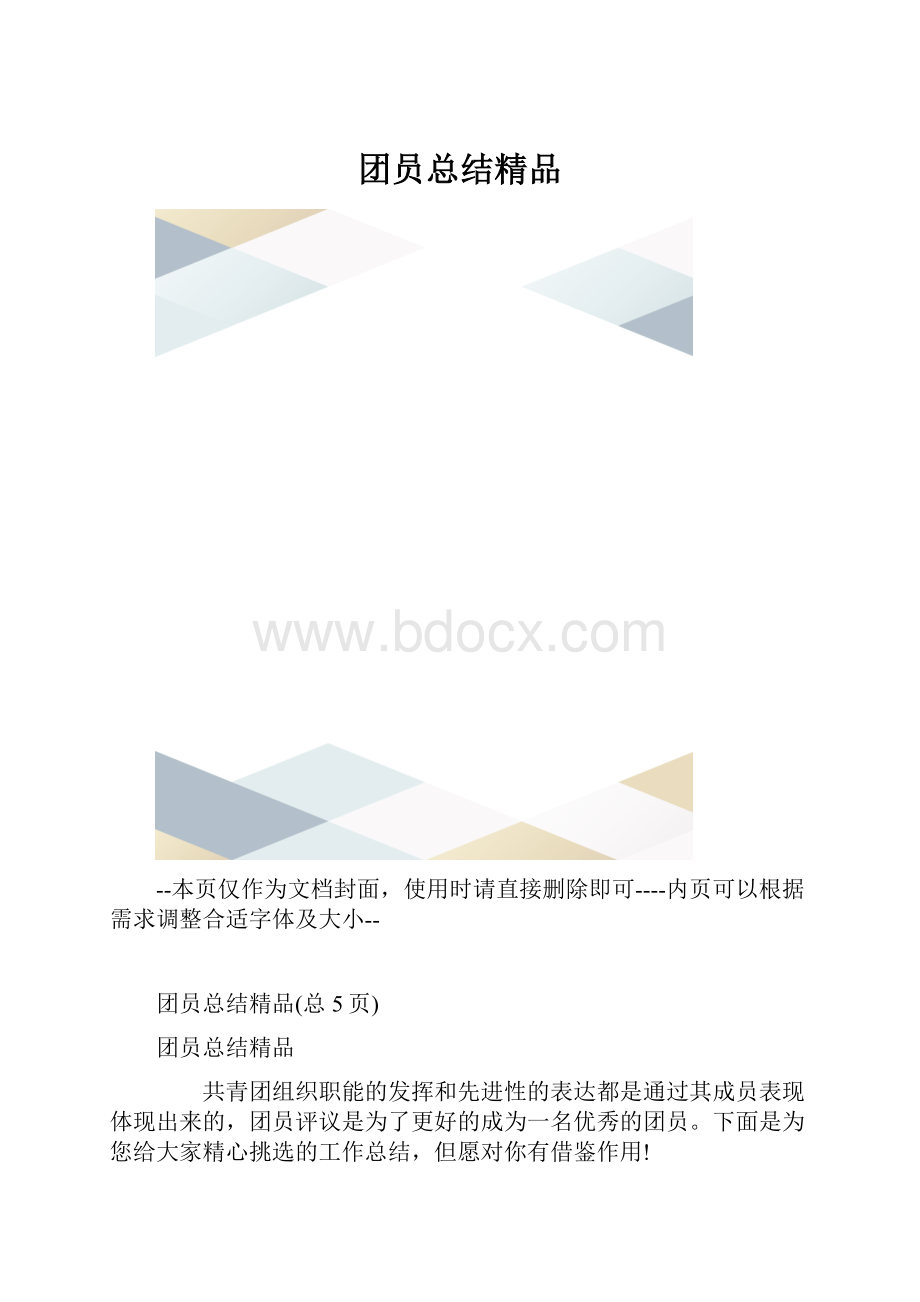 团员总结精品.docx