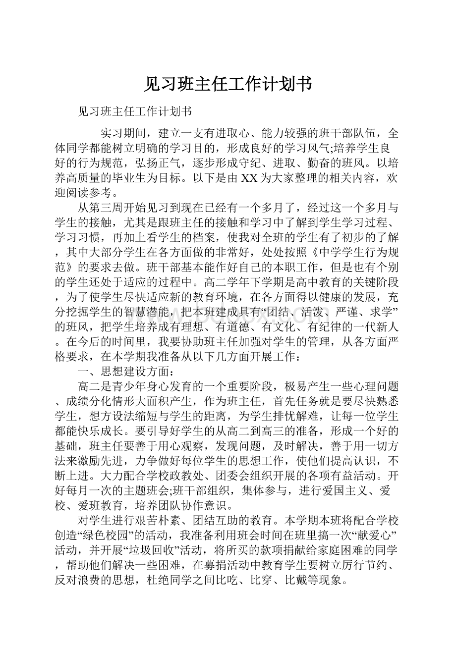 见习班主任工作计划书.docx