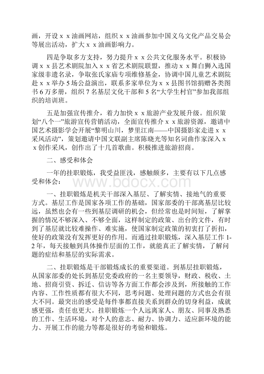 挂职锻炼个人工作总结精选5篇.docx_第2页