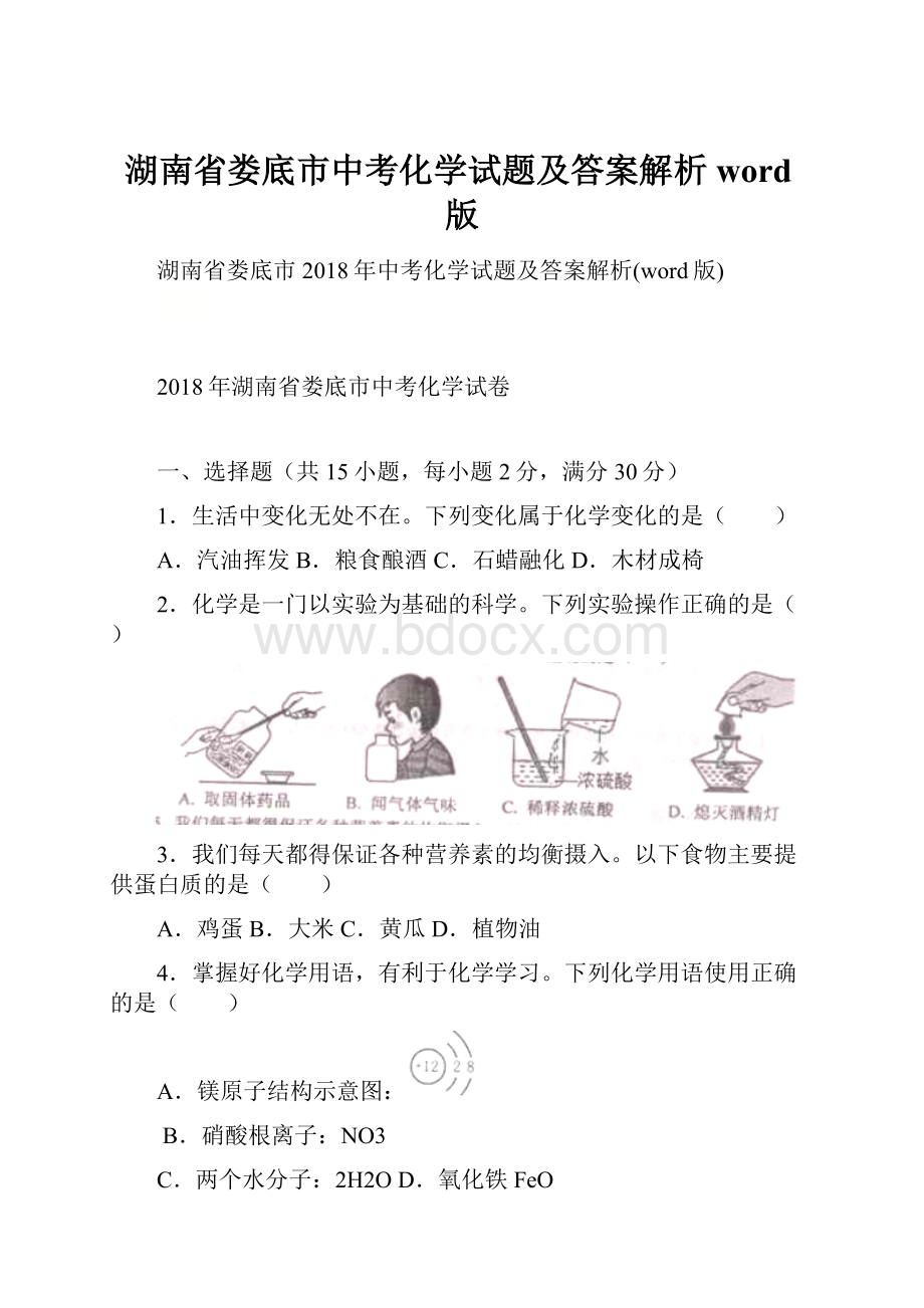 湖南省娄底市中考化学试题及答案解析word版.docx