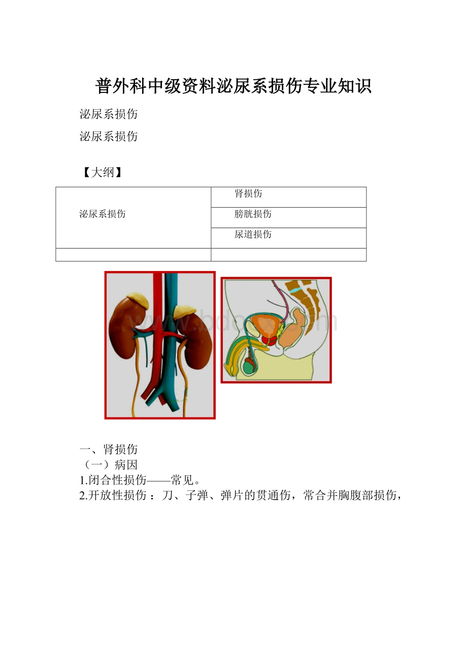 普外科中级资料泌尿系损伤专业知识.docx_第1页