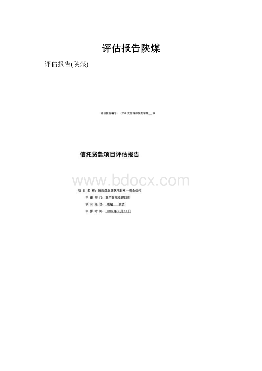 评估报告陕煤.docx