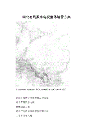 湖北有线数字电视整体运营方案.docx