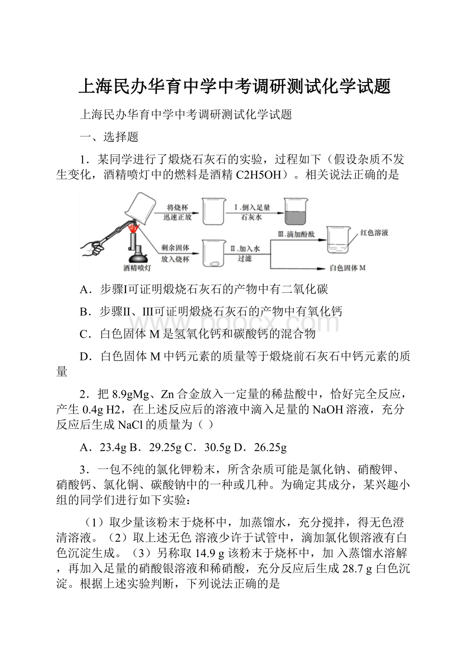 上海民办华育中学中考调研测试化学试题.docx