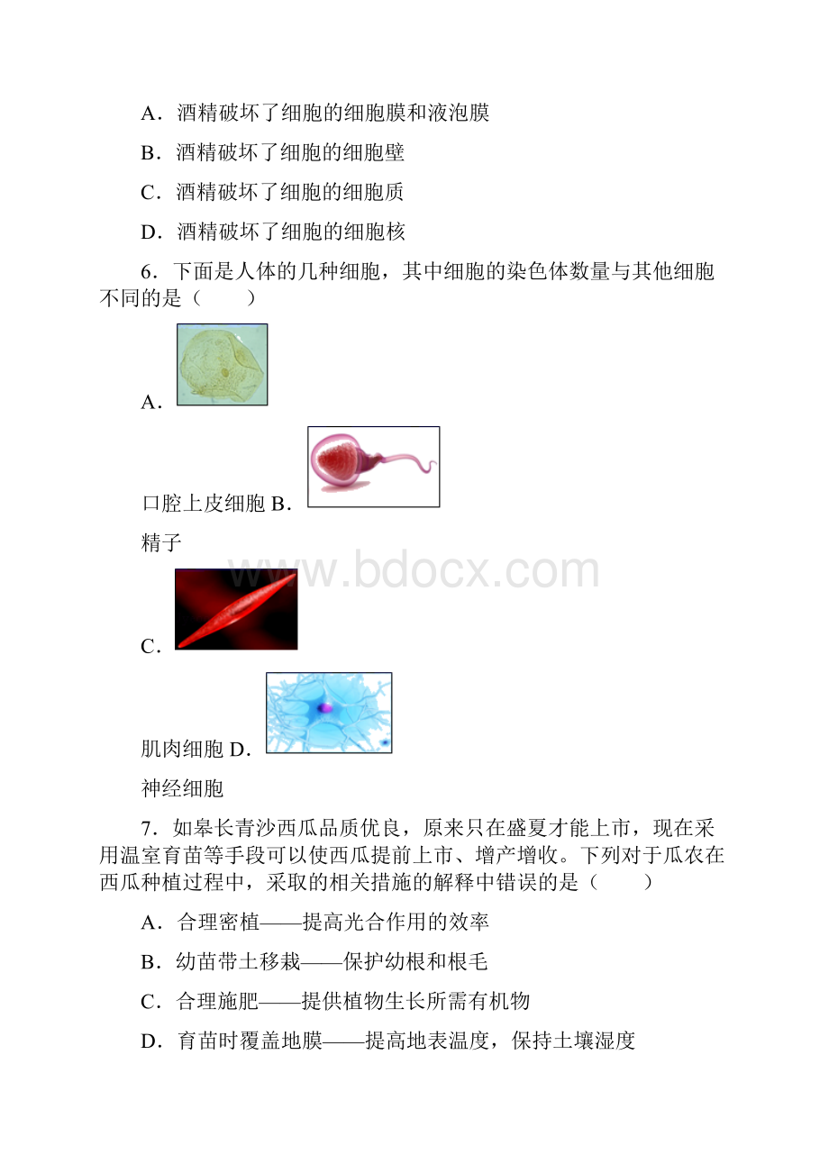 北京市怀柔区九年级第一次模拟考试生物试题.docx_第3页