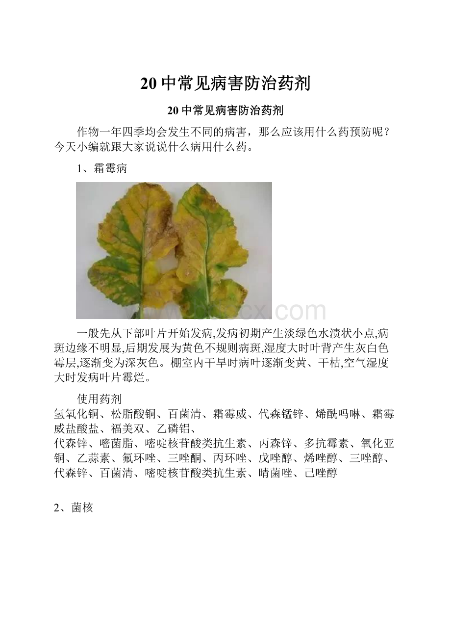 20中常见病害防治药剂.docx_第1页