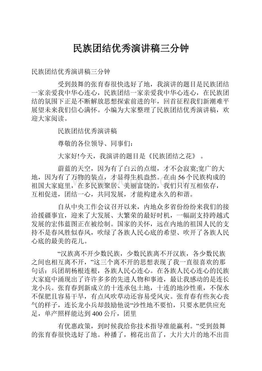 民族团结优秀演讲稿三分钟.docx