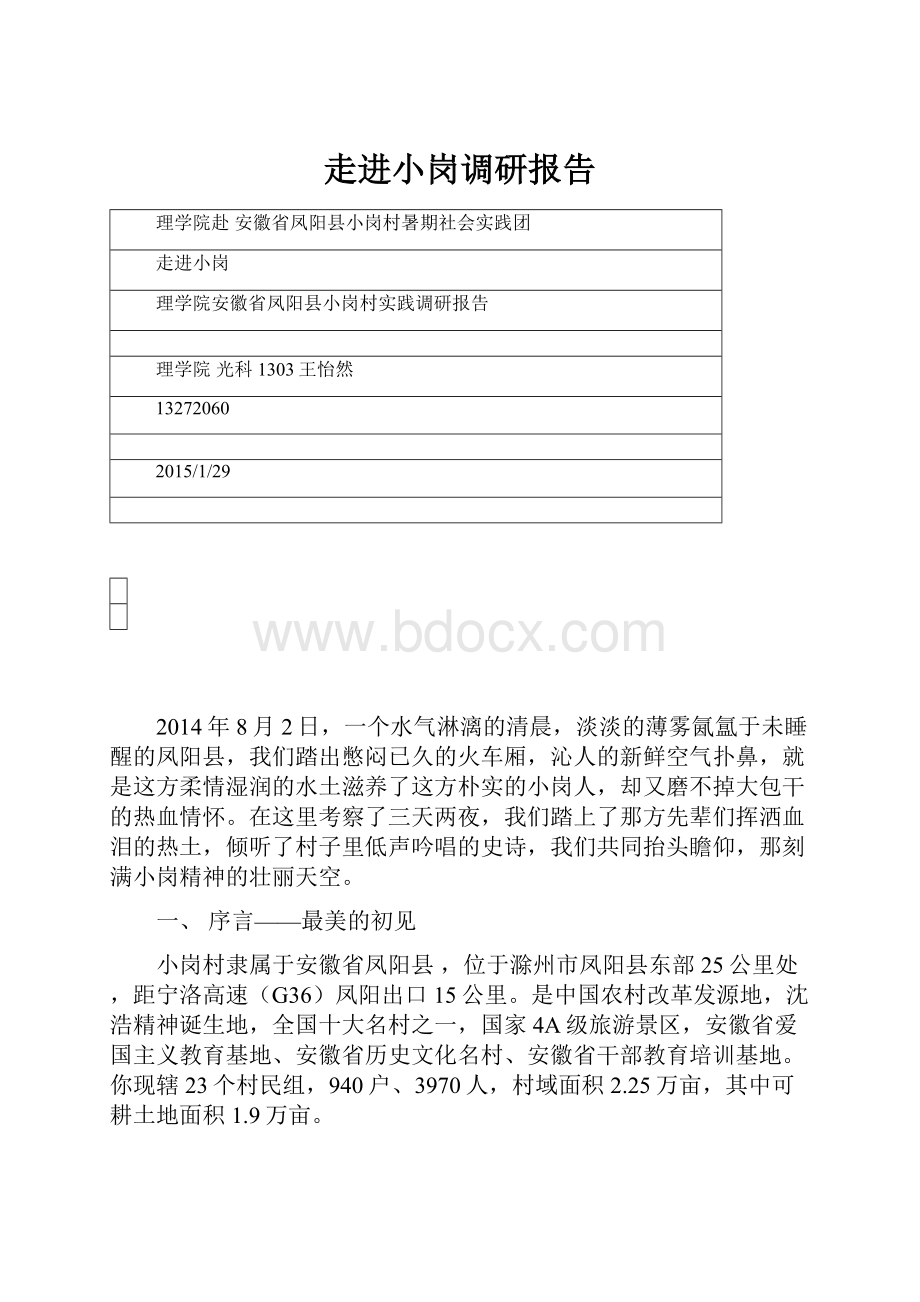 走进小岗调研报告.docx