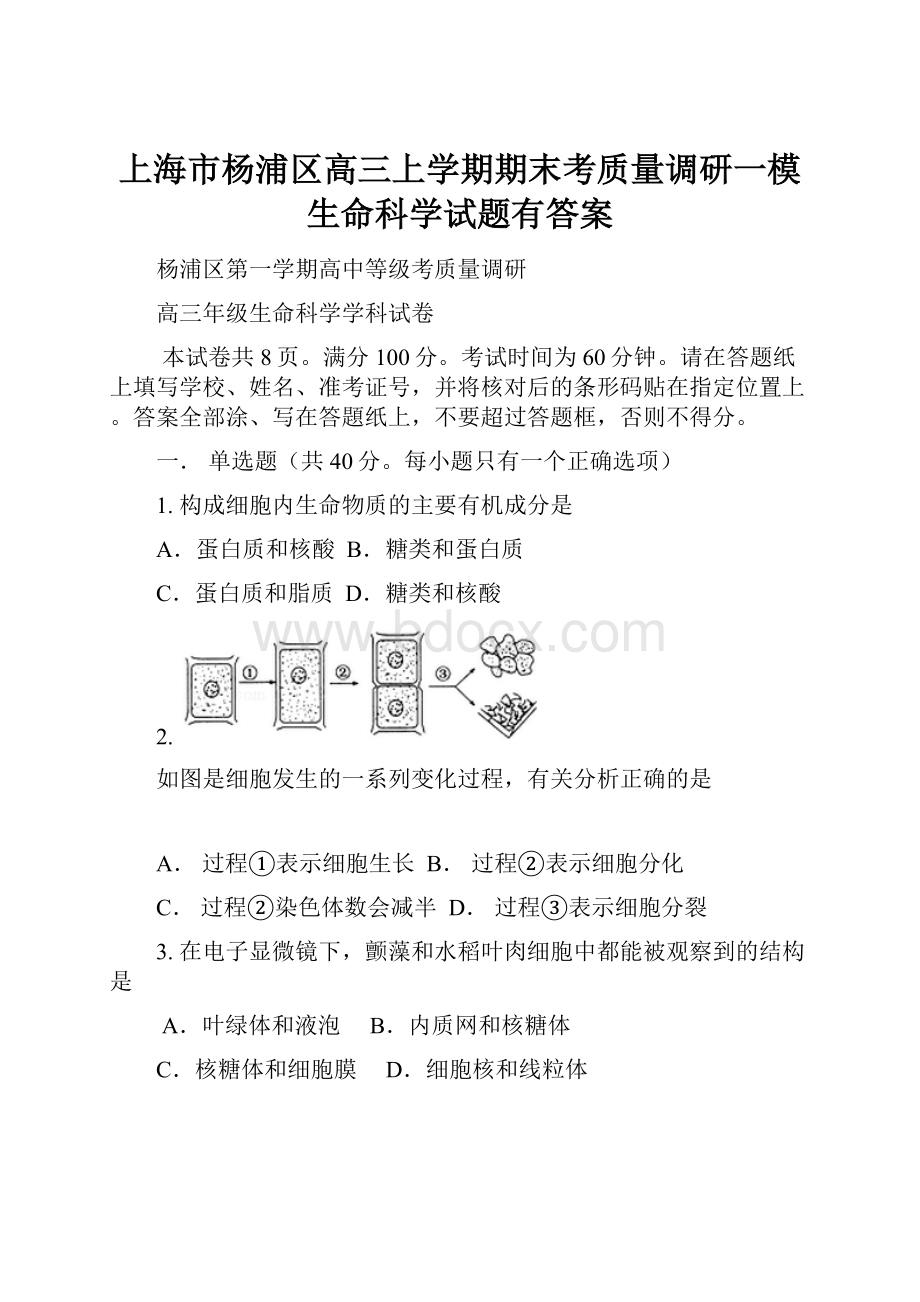 上海市杨浦区高三上学期期末考质量调研一模生命科学试题有答案.docx_第1页