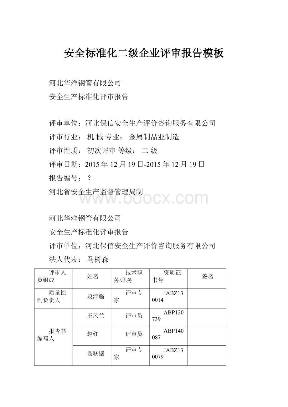 安全标准化二级企业评审报告模板.docx_第1页