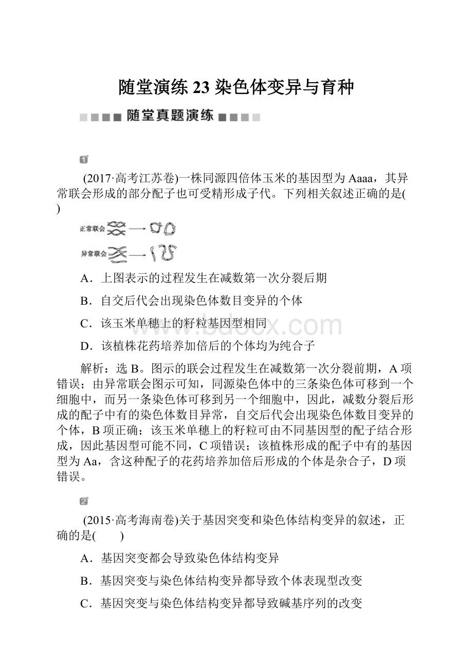 随堂演练23 染色体变异与育种.docx