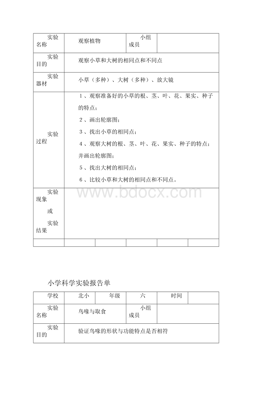 冀教小学六年级科学实验报告.docx_第2页