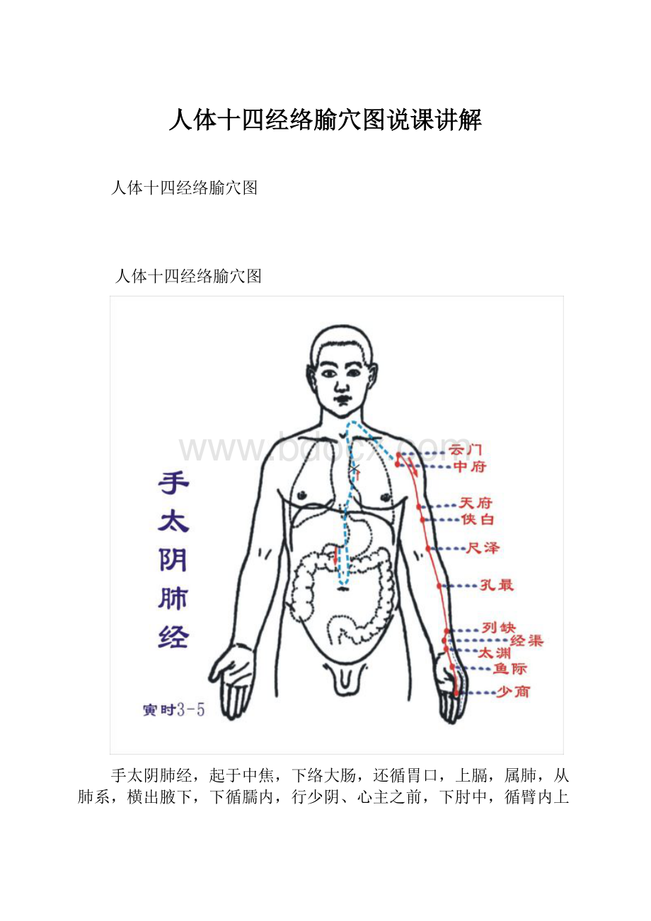 人体十四经络腧穴图说课讲解.docx