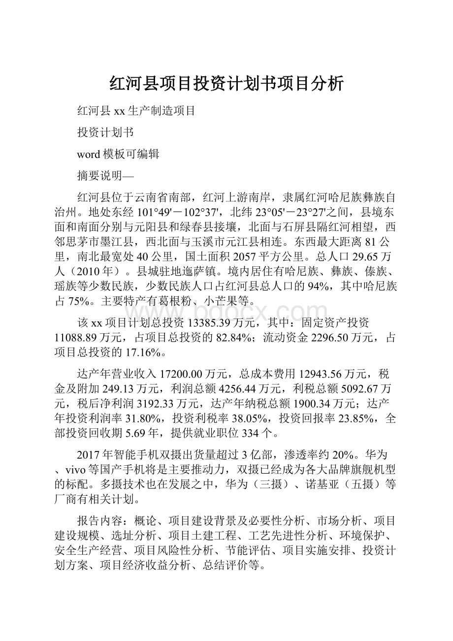 红河县项目投资计划书项目分析.docx_第1页