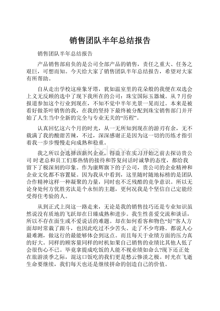 销售团队半年总结报告.docx_第1页